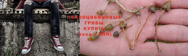 ECSTASY Абинск