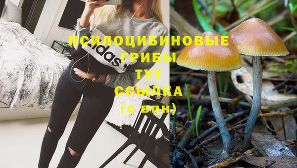 героин Абаза