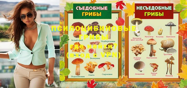 ECSTASY Абинск